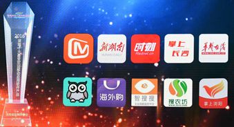 大瀚榮獲2016年度湖南十大最受歡迎移動應用軟件產(chǎn)品